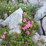 Apartamento Pyhrgasblick