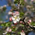 Pyhrgasblick * Rosenau am Hengstpass