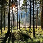 Pyhrgasblick * Rosenau am Hengstpass