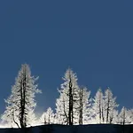 Pyhrgasblick Apartamento Rosenau am Hengstpass