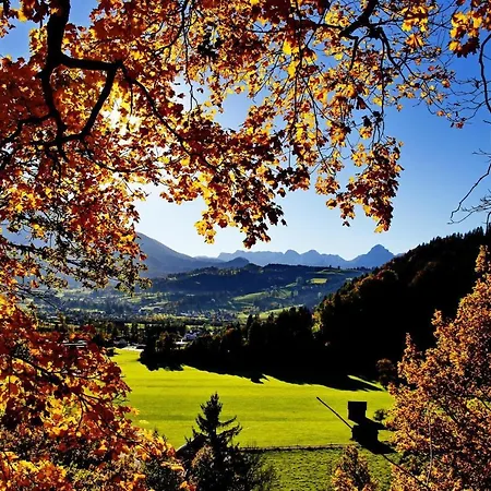 Daire Pyhrgasblick *