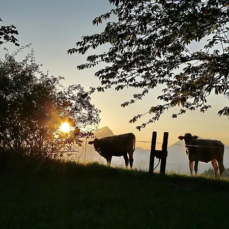 Pyhrgasblick