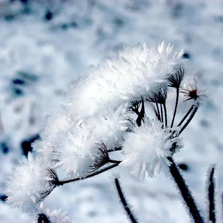 Pyhrgasblick Lägenhet Rosenau am Hengstpass