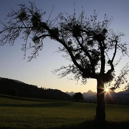 아파트 Pyhrgasblick Rosenau am Hengstpass