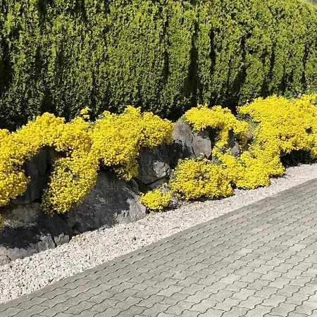 Pyhrgasblick Rosenau am Hengstpass