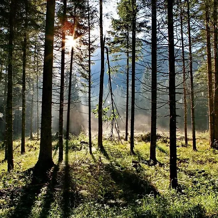 Pyhrgasblick * Rosenau am Hengstpass