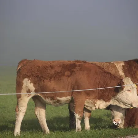 Pyhrgasblick Lägenhet *