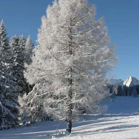 Lägenhet Pyhrgasblick