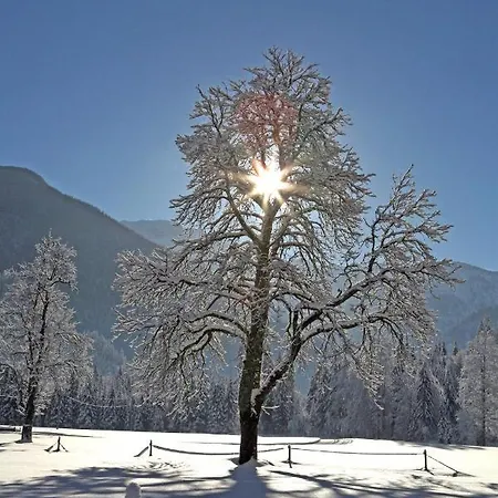 Lägenhet Pyhrgasblick *
