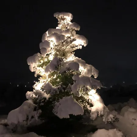 Daire Pyhrgasblick Rosenau am Hengstpass