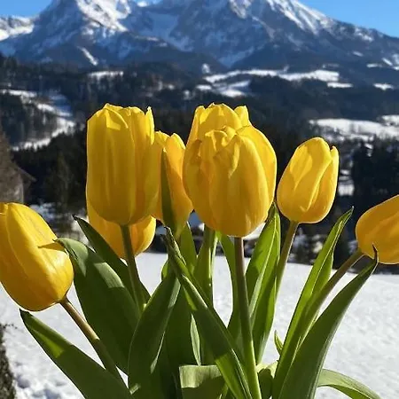 Pyhrgasblick Lägenhet