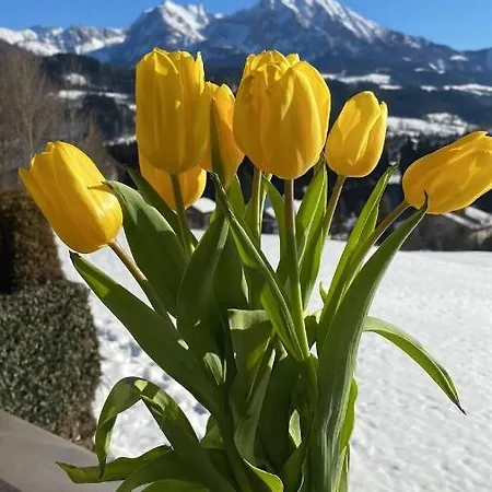 Pyhrgasblick Apartamento