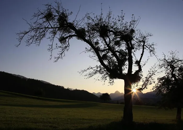 Daire Pyhrgasblick Rosenau am Hengstpass