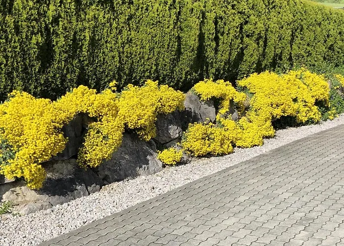 Pyhrgasblick Rosenau am Hengstpass