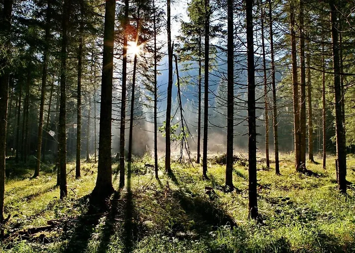 Pyhrgasblick * Rosenau am Hengstpass