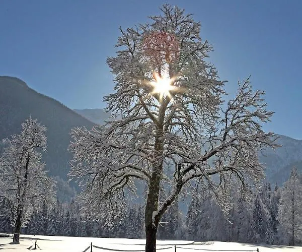 Apartment Pyhrgasblick *