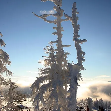 Pyhrgasblick Apartament *
