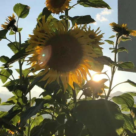 Apartment Pyhrgasblick *