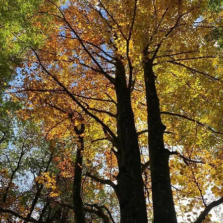 Appartement Pyhrgasblick *