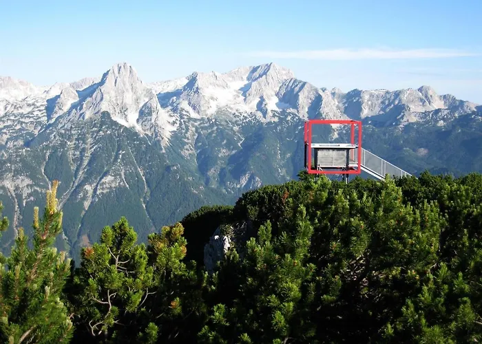 Pyhrgasblick Apartment *