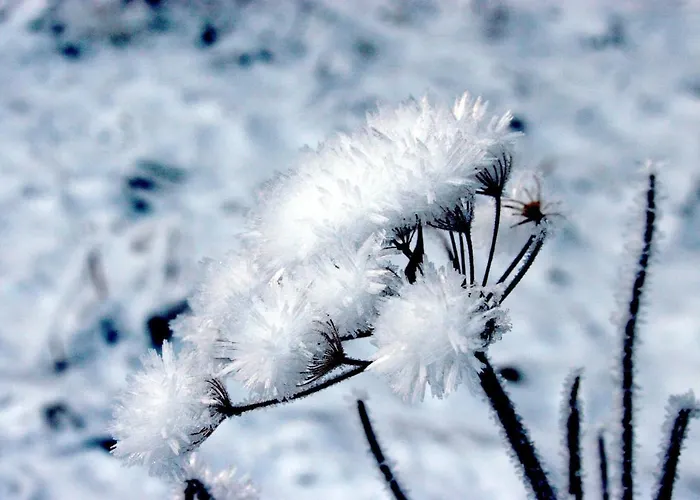 Pyhrgasblick Apartment Rosenau am Hengstpass