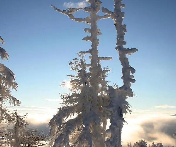 Pyhrgasblick Apartment *