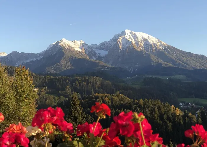 Pyhrgasblick Apartment *